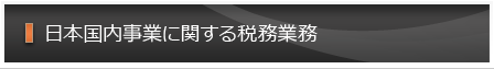 日本国内事業に関する税務業務